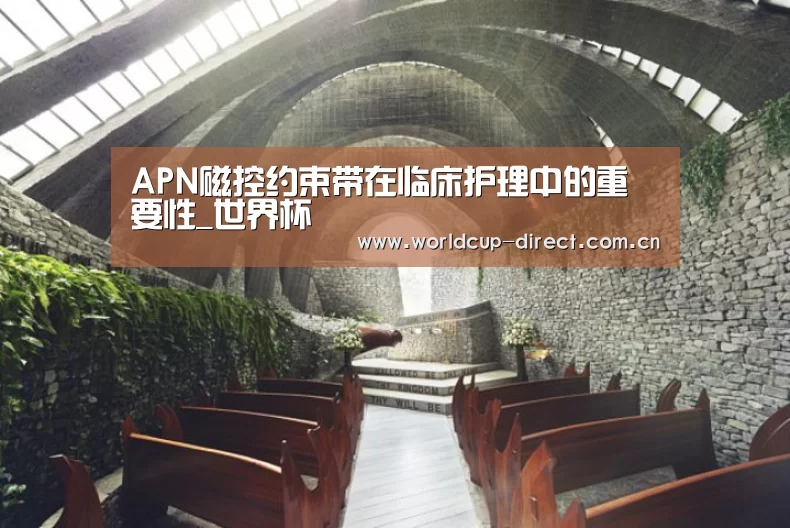 APN磁控约束带在临床护理中的重要性_世界杯(图1) 世界杯官网