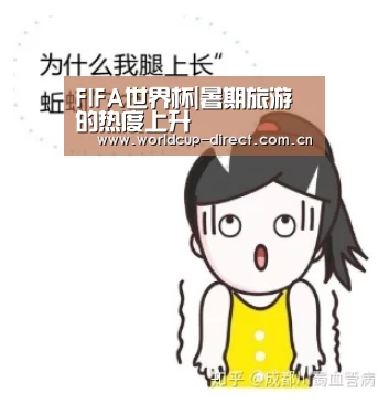 FIFA世界杯|暑期旅游的热度上升(图3) FIFA世界杯