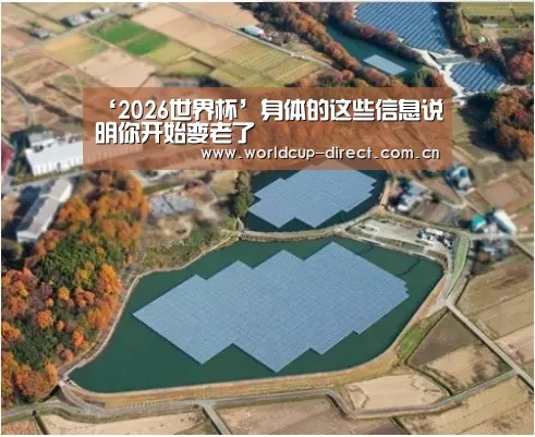 ‘2026世界杯’身体的这些信息说明你开始变老了(图2) 2026世界杯
