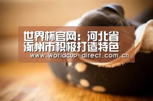 世界杯官网:河北省涿州市积极打造特色休闲农业(图3) FIFA世界杯