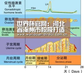 世界杯官网:河北省涿州市积极打造特色休闲农业(图2) FIFA世界杯