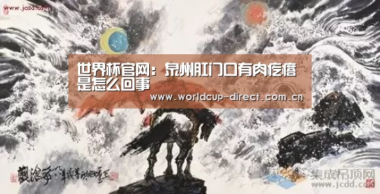 2026世界杯